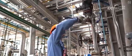 煉化工廠成鳥兒新家 綠色工業(yè)設(shè)計服務(wù)，盡顯工業(yè)之美