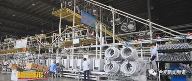 廬式服務(wù) 有容乃大，創(chuàng)意產(chǎn)品層出不窮，百余家公司共筑專業(yè)設(shè)計生態(tài)